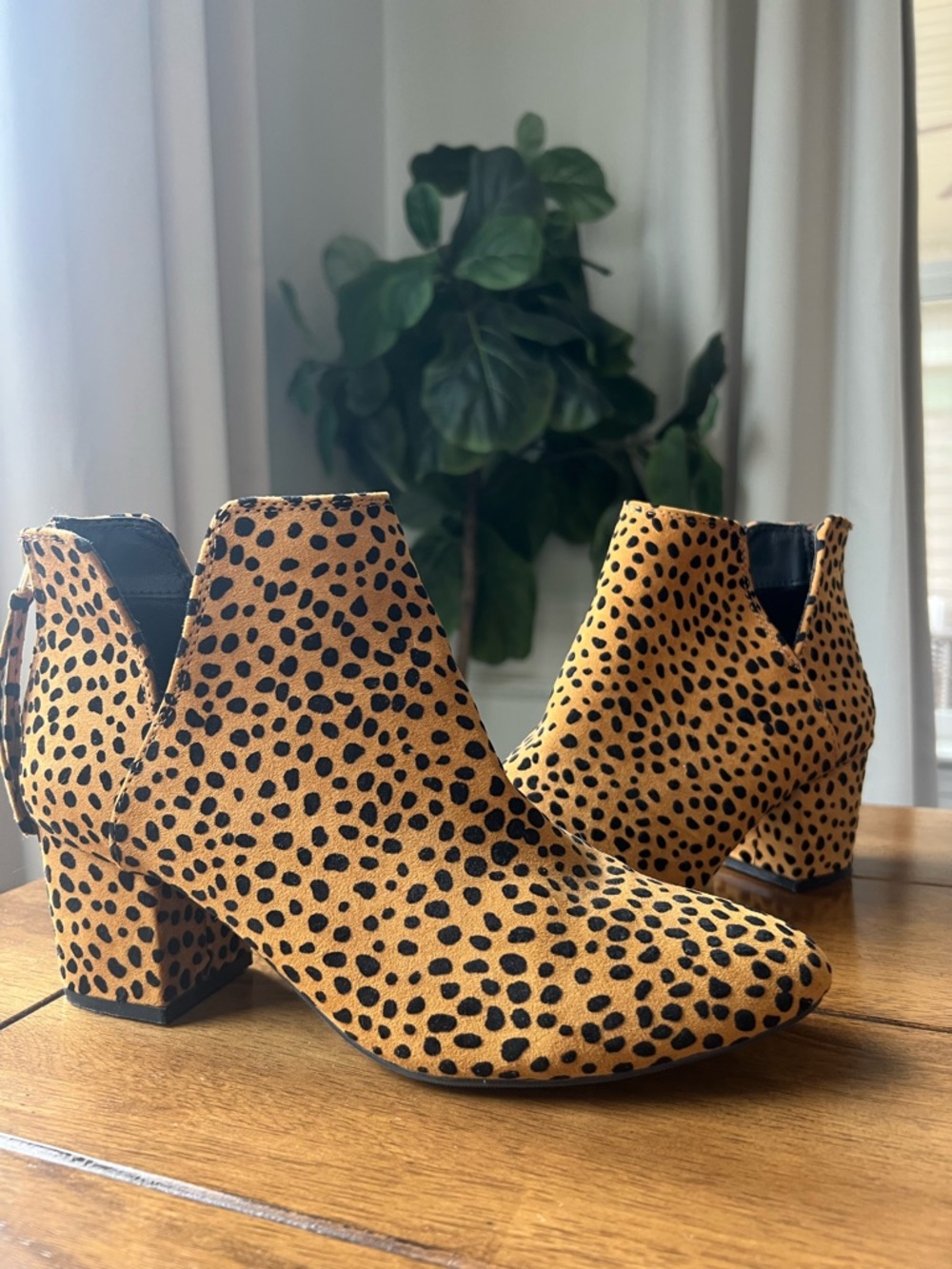 Qupid Leopard-Print Ankle Booties in Tan and Black